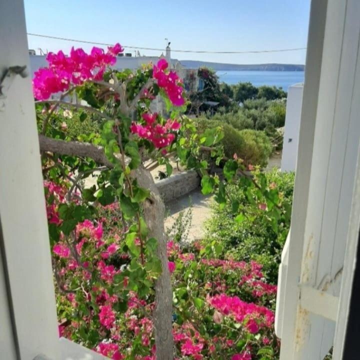 Kelly'S Chrisi Akti (Paros) Exterior foto