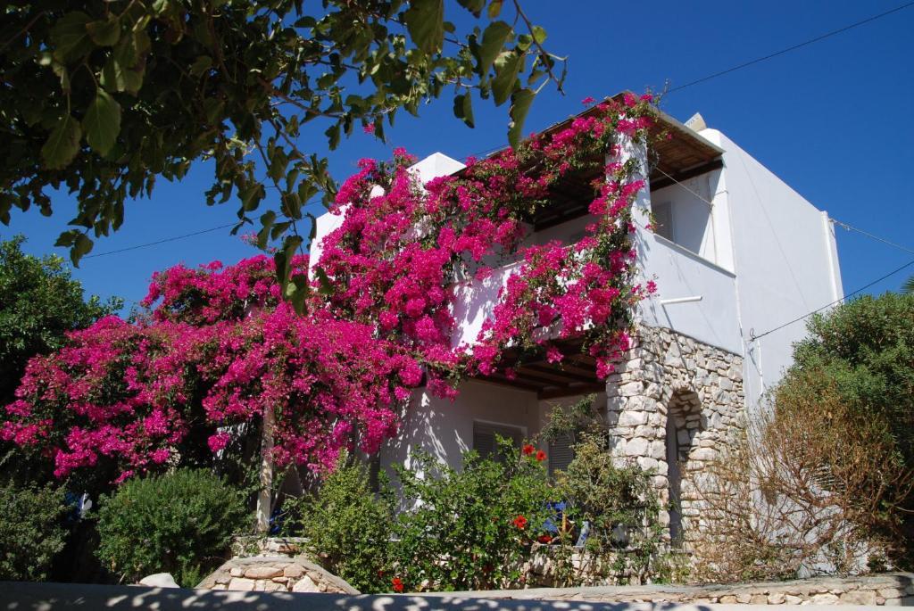 Kelly'S Chrisi Akti (Paros) Exterior foto