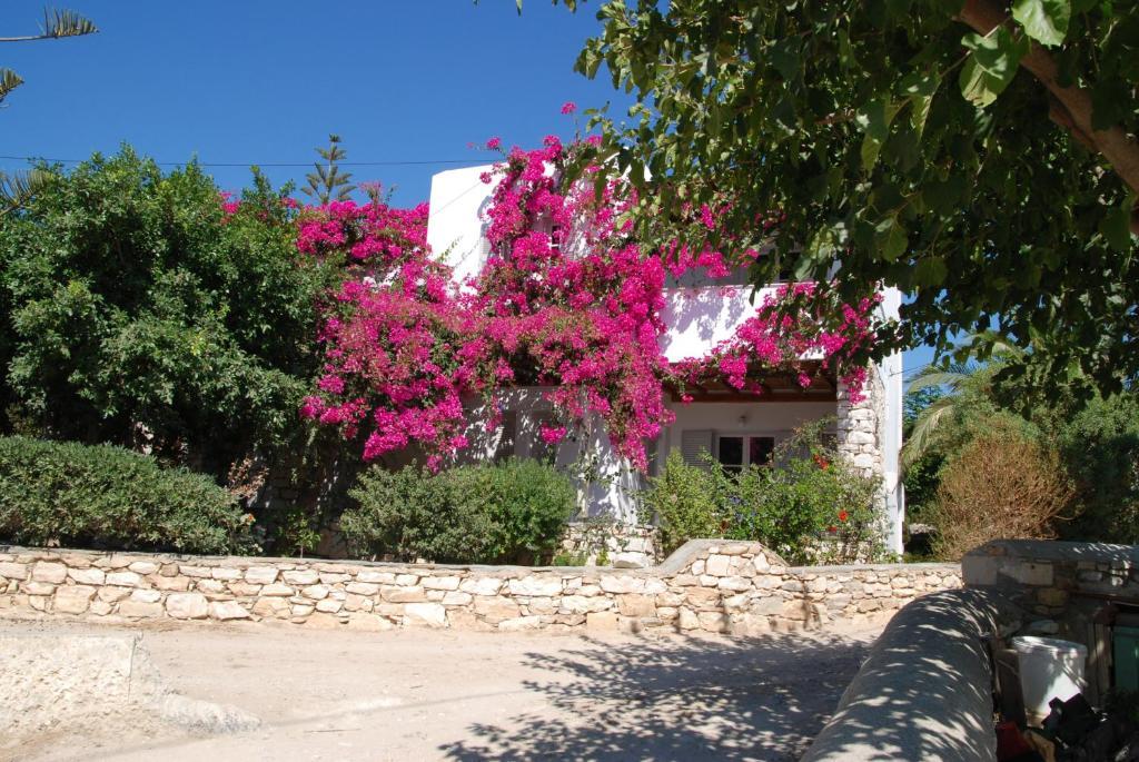 Kelly'S Chrisi Akti (Paros) Exterior foto