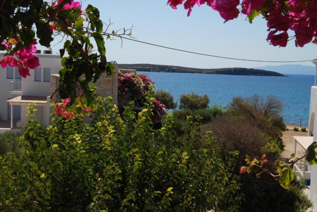 Kelly'S Chrisi Akti (Paros) Quarto foto